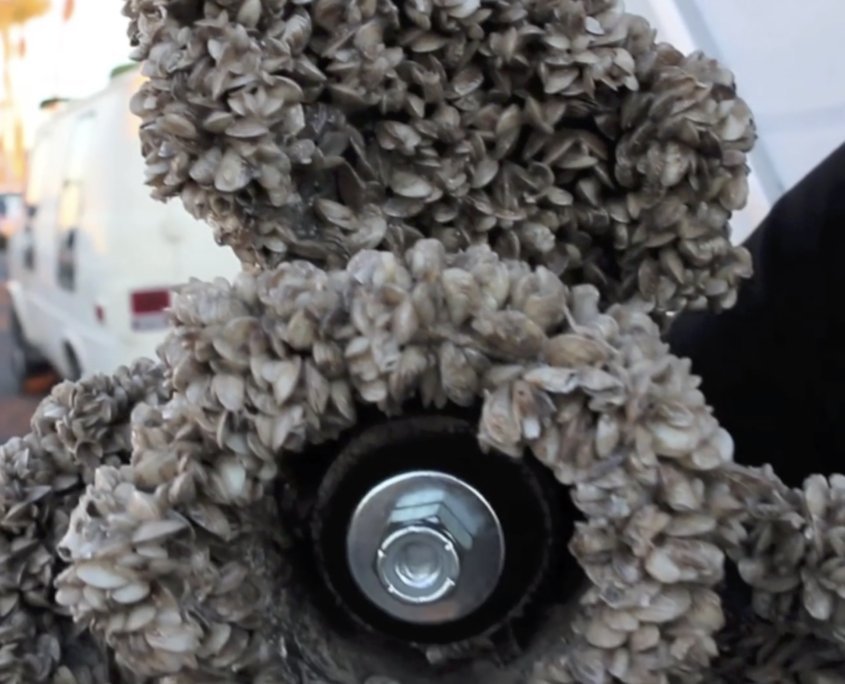 Screen Shot 2019-01-09 at 2.54.56 PM