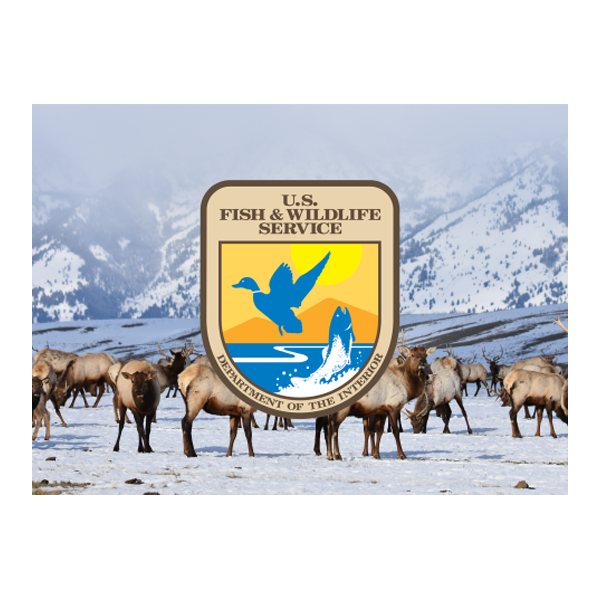 US FIsh and Wildlife Service, National Elk Refuge